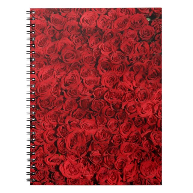 Hunderte schöne Rote Rosen Notizblock (Vorderseite)