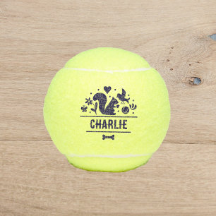Hundes Lieblingssache Tennisbälle