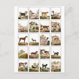 Hundesammlung im Vintage-Stil Postkarte