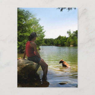 Hundeschau am Ladybird Lake - Austin Texas Postkarte