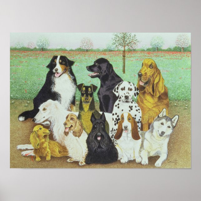 Hundeschau Poster (Vorne)