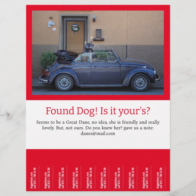 Hundescheibe entdeckt flyer (Vorne)