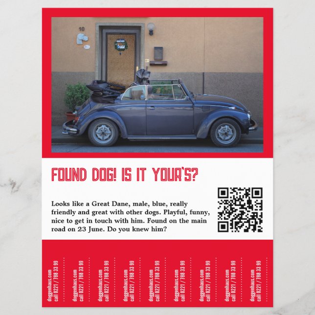 Hundescheibe entdeckt flyer (Vorne)