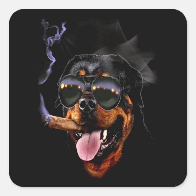Hundeschenk | Kleiner Rotweiler-Kumpel Quadratischer Aufkleber (Vorderseite)