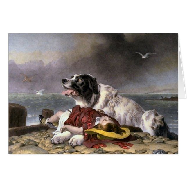 Hundeschenke für Neufundland (Vorderseite (Horizontal))