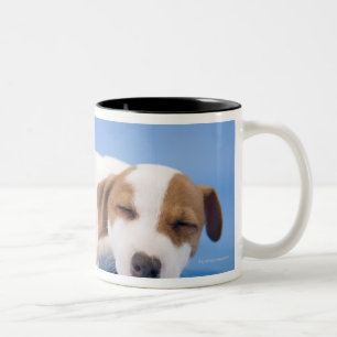 Hundeschlafen Zweifarbige Tasse