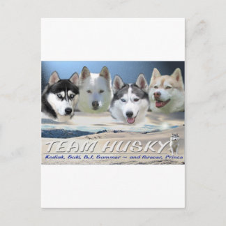 Hundeschlitten Postkarte
