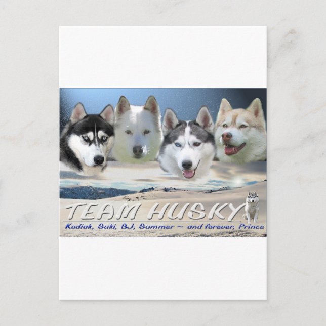 Hundeschlitten Postkarte (Vorderseite)