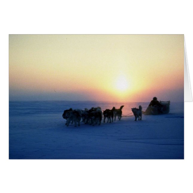 Hundeschlittenfahrt bei 45 Grad Celsius, Baffin Is (Vorderseite (Horizontal))