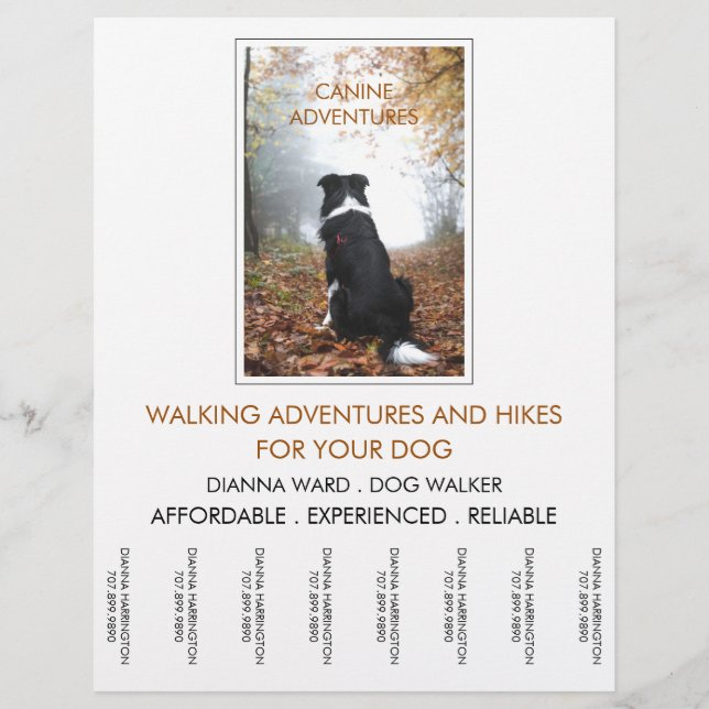 Hundeschlittenwanderungen und Wanderungen Flyer (Vorne)