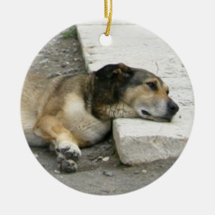 Hundeschmuck, maßgeschneidert keramikornament