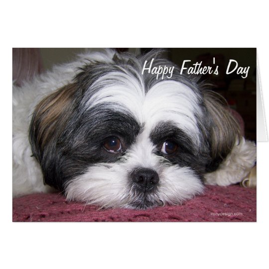 HundeShih Tzu der vatertag Karte