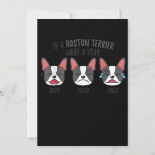 Hundeshirt, wenn eine Bostoner Terrier ein Jahr Sp Ankündigung
