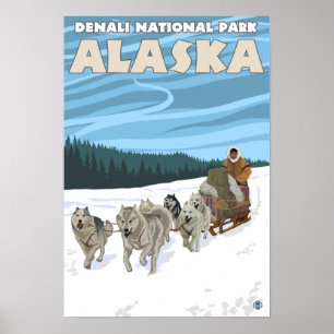 HundeSledding Szene - Denali Nationalpark, Alaska Poster