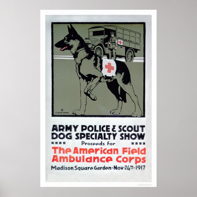 Hundespezialshow (US00277) Poster (Vorne)
