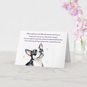 Hundesympathie Boston Terrier mit Gedenken Karte