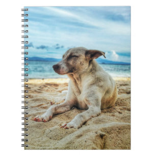 Hundetag am Strand, am Ozean und in der Sonne Notizblock