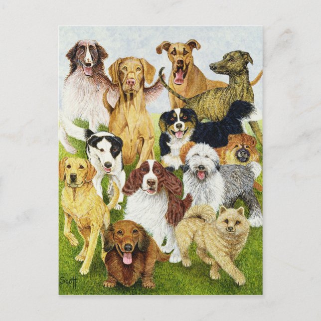 Hundetage Postkarte (Vorderseite)