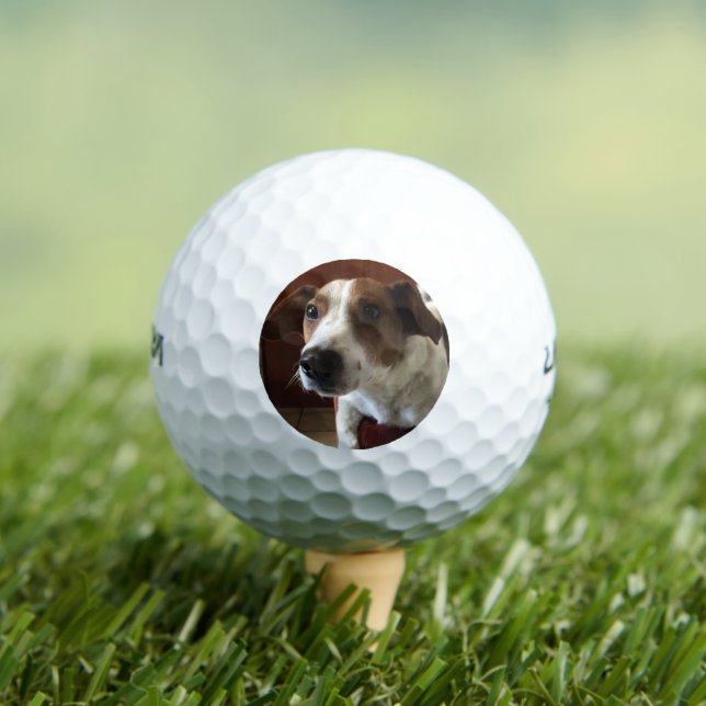 HundeTamplate Golfball (Insitu T-Shirt)