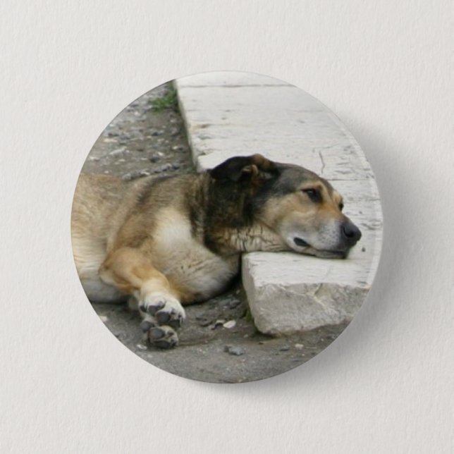 Hundetaste, anpassen button (Vorderseite)