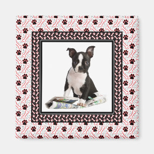 Hundetatzen-und -knochen-Haustier-Foto-Schablone Magnet