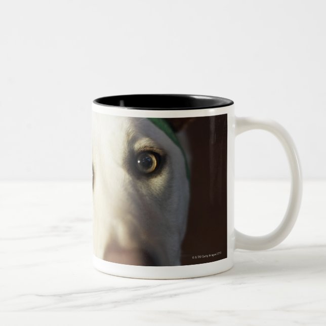 Hundetragende Rengeweihe Zweifarbige Tasse (Rechts)