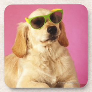 Hundetragende Sonnenbrille 2 Untersetzer