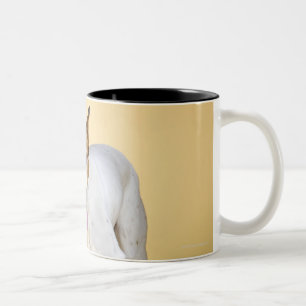Hundetragende Stiefel Zweifarbige Tasse