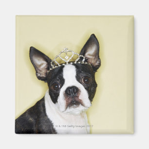 Hundetragende Tiara Magnet
