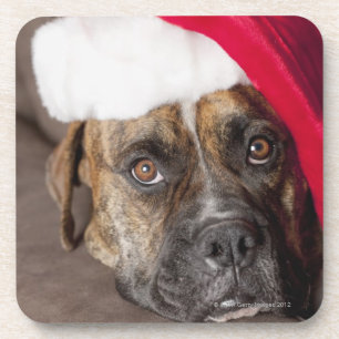 Hundetragende Weihnachtsmannmütze Untersetzer
