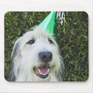 Hundetragender Partyhut Mousepad