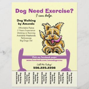 Hundetrainer Ausbildung Aktiv Terrier Tränenblatt Flyer