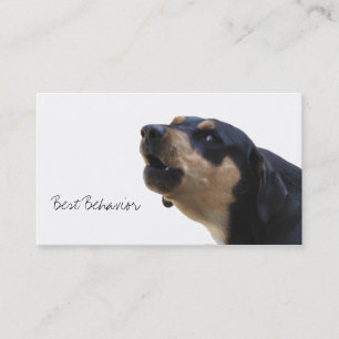 Hundetrainings-Verhaltenspezialist Visitenkarte