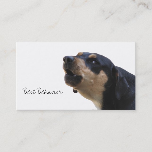 Hundetrainings-Verhaltenspezialist Visitenkarte (Vorderseite)