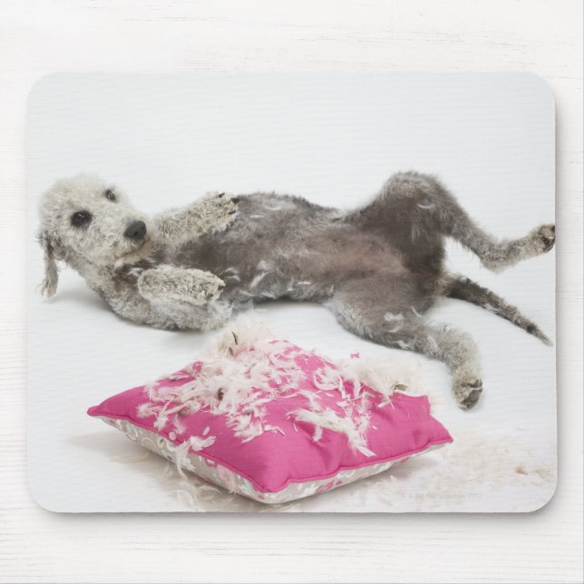 Hundeverhaltenstraining Mousepad (Vorne)