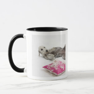 Hundeverhaltentraining Tasse