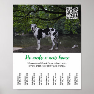 Hundeverkaufsplakat Vorlage Poster