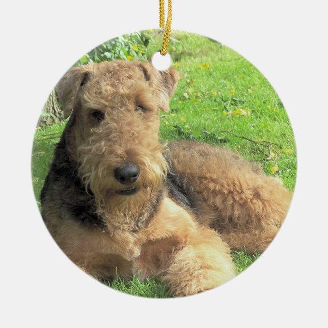 Hundeverzierung Airedales Terrier Keramikornament (Vorne)