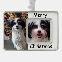 Hundeverzierung, Weihnachten K-Cee Rahmen-Ornament Silber