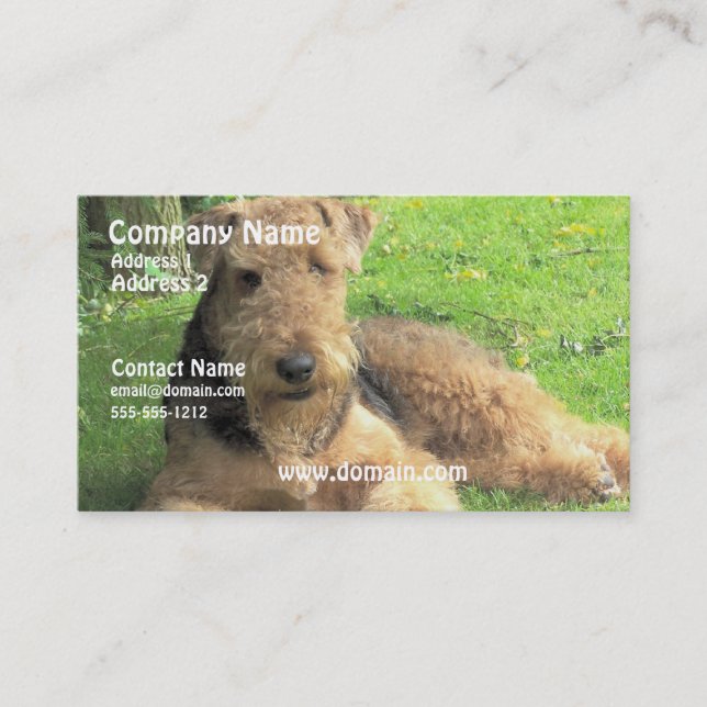 HundeVisitenkarte Airedales Terrier Visitenkarte (Vorderseite)