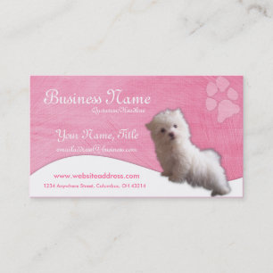 HundeVisitenkarten:: Maltesischer Welpe Visitenkarte