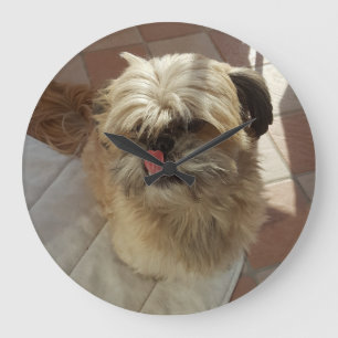 HundeWanduhr Shih Tzu Große Wanduhr