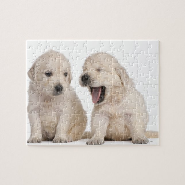 Hundewelpen (4 Wochen alt) (Horizontal)