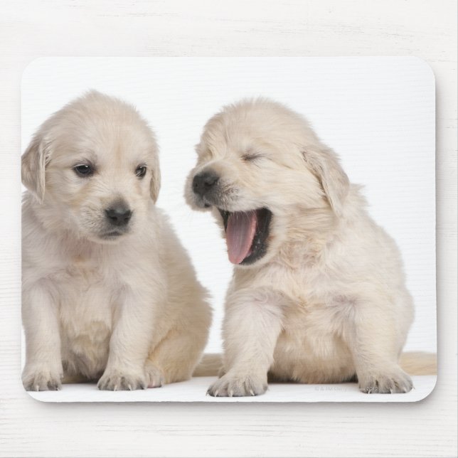 Hundewelpen (4 Wochen alt) Mousepad (Vorne)