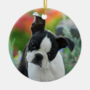 Hundewelpen-Fall Dekor Bostons Terrier Keramik Ornament