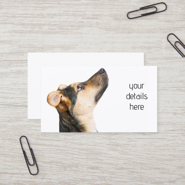 Hundewelpen Visitenkarte (Vorderseite/Rückseite Beispiel)
