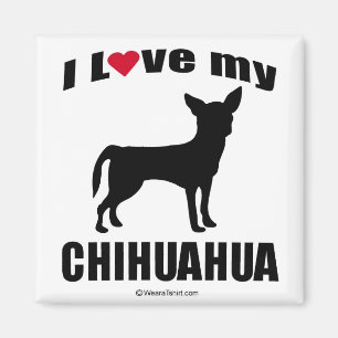 "HUNDEzucht" - CHIHUAHUA - "ICH LIEBE MEIN Magnet