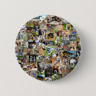 Hundfoto Collage, Button