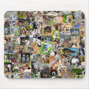 Hundfoto Collage, Mousepad