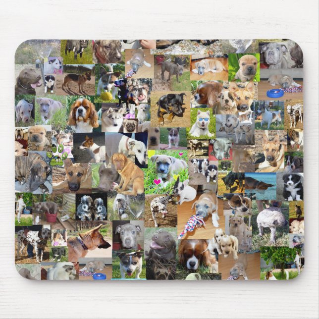 Hundfoto Collage, Mousepad (Vorne)